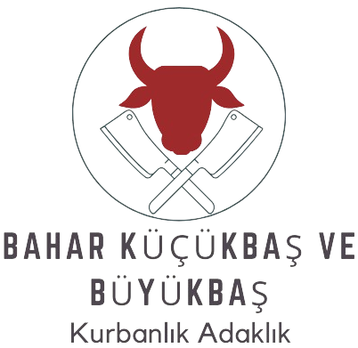 Bahar Küçükbaş Ve Büyükbaş Kurbanlık Adaklık